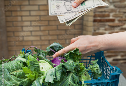 Customer buys kohlrabi cabbage close up