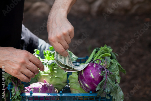 The seller of vegetables spends bills on cabbage