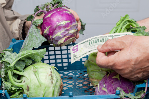 Buyer pays for purple kohlrabi in cash