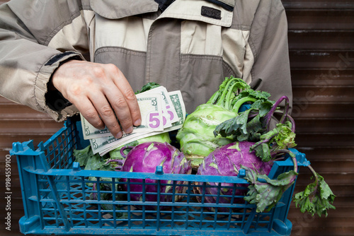 Farmer sold  case of cabbage for cash dollars