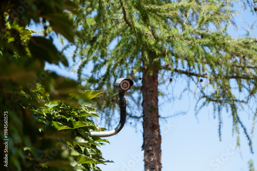 Video surveillance camera on green tree background