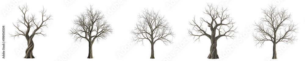 Obraz premium Realistic Dead Winter Tree Collection Isolated on White Background - High Quality 3D Render Style Leafless Bare Trees for Landscape Design and Digital Stock Assets