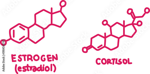 Pink Minimalist Hormone Molecule Structures for Estrogen Estradiol and Cortisol Stress Hormone Isolated on White Background for Health and Wellness Design