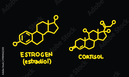 Yellow Linear Medical Illustration of Estrogen Estradiol and Cortisol Stress Hormone Chemical Molecules Isolated on Black Background