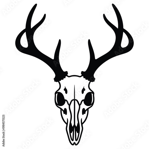 deer head isolated
