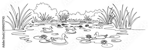 Ducks swimming in pond with lily pads and reeds continuous one line drawing minimalist nature landscape