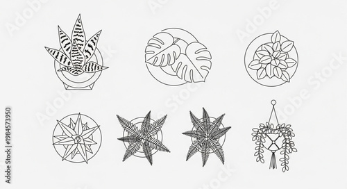 Collection of intricate abstract geometric designs and symbols.