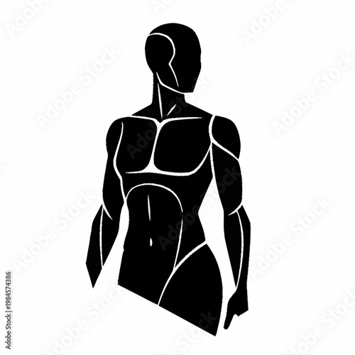 Stylized Silhouette of a Muscular Male Torso.