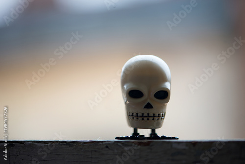 Minimal Skull Toy On Edge With Soft Blurred Background