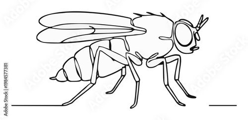 Minimalist Fruit Fly Line Art Vector Icon. Generative AI