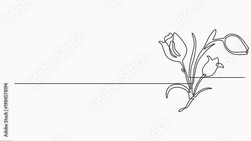 Tulip Continuous one line drawing of beautiful spring flowers graphic animation, Single line art of tulip on white background, Aesthetic moving banner with hand drawn blooming flowers or plants.