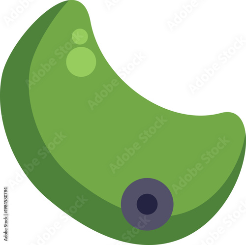 Green crescent shaped bacterium cell illustration with nucleus on a white background