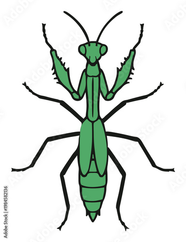 Flat 2D Praying Mantis Crawling Illustration. Generative AI