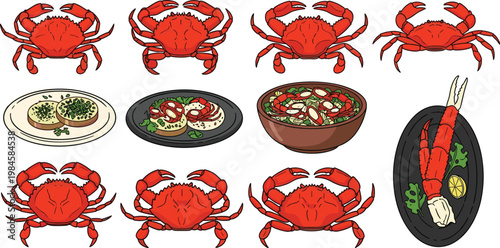 Crab Seafood Collection with Whole Crabs and Prepared Dishes Top View Asian Cuisine Food Vector Illustration Set
