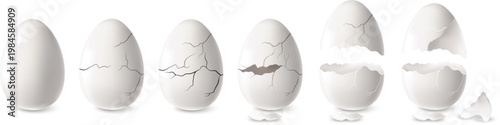 Cracked blue bird egg shell halves for wildlife nature design vector
