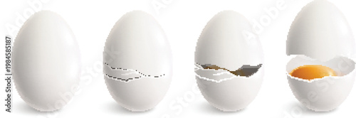 Hatching egg icon with dots and jagged shell fragments vector