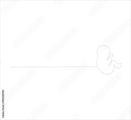 Continuous one line drawing of baby embryo in womb, minimalist fetus silhouette in mother stomach, gestational development concept, unborn child line art illustration
