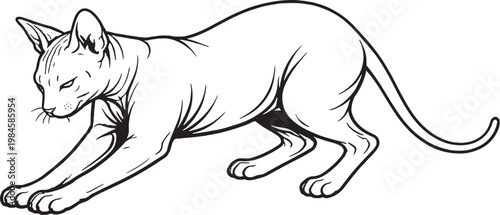 Sphynx cat kneading paws black and white line art hairless cat breed comfort behavior illustration
