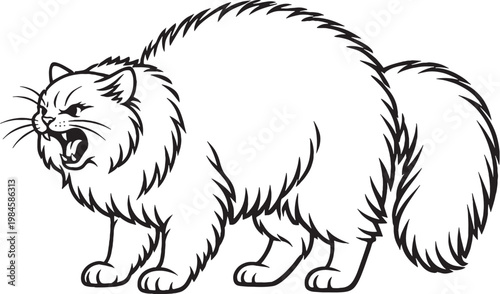 Ragamuffin cat arching back hiss line art, fluffy longhair cat defensive pose outline illustration isolated