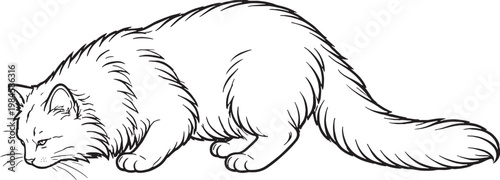 Foto Ragamuffin cat drinking line art, fluffy longhair cat drinking posture outline i