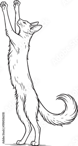 Quadro em tela Oriental Longhair Cat Reaching Up Standing Pose Black White Line Art Illustratio