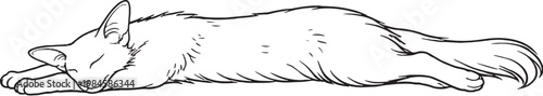 Foto Oriental Longhair Cat Sleeping Stretched Out Side View Black White Line Art Illu