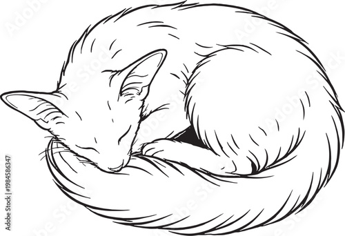 Foto Oriental Longhair Cat Sleeping Curled Top View Black White Line Art Illustration