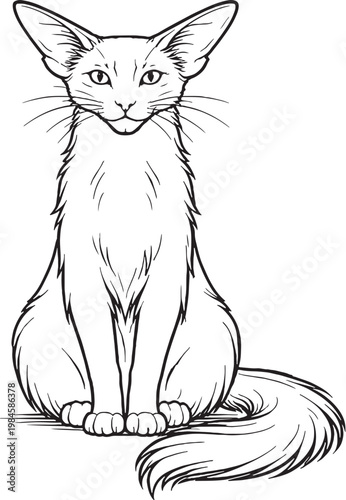 Photos Oriental Longhair Cat Loaf Sitting Front View Black White Line Art Illustration