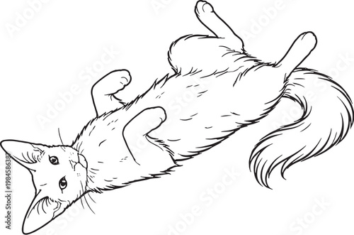 Bild auf Leinwand Oriental Longhair Cat Lying Belly Up Playful Pose Black White Line Art Illustrat