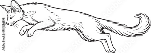 Quadro su tela Oriental Longhair Cat Mid Air Leap Jump Pose Black White Line Art Illustration