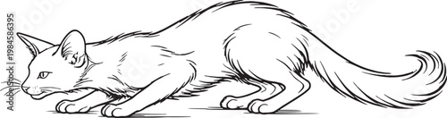 Oriental Longhair Cat Pouncing Crouch Hunting Pose Black White Line Art Illustration