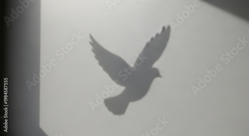 A bird flies across a gray wall with sunlight casting a shadow.