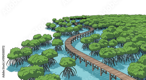 Wooden boardwalk winding through lush mangrove forest illustration