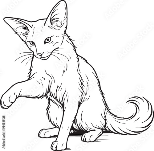 Quadro em tela Oriental Longhair Cat Batting Paw Playful Gesture Black White Line Art Illustrat