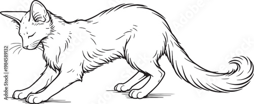 Oriental Longhair Cat Kneading Paws Comfort Behavior Black White Line Art Illustration