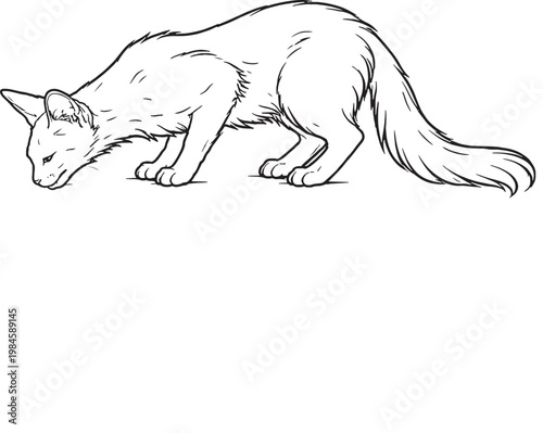 Bild auf Leinwand Oriental Longhair Cat Drinking Side View Black White Line Art Illustration