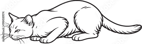 Chausie cat pouncing crouch line art, athletic domestic cat hunting pose outline illustration isolated
