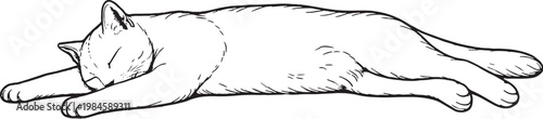 Foto Chartreux cat sleeping stretched out line art black and white vector isolated re