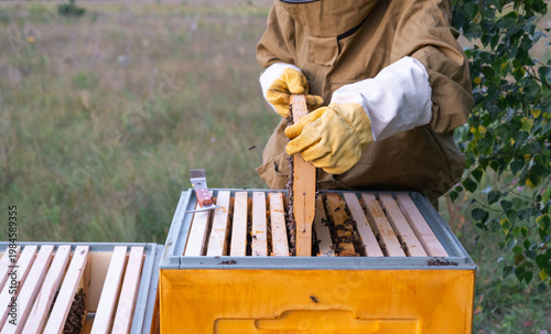 Foto Beekeeper opening hive, inspecting honey and brood frames, manual process, focus on beehive health, work with bees, organic honey production, rural apiculture