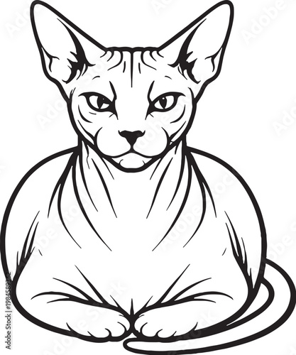 Sphynx cat loaf sitting front view black and white line art hairless cat breed illustration isolated