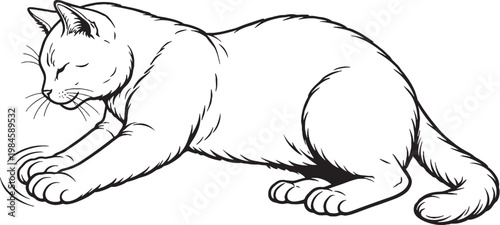 Chartreux cat kneading paws line art black and white vector isolated feline comfort behavior illustration