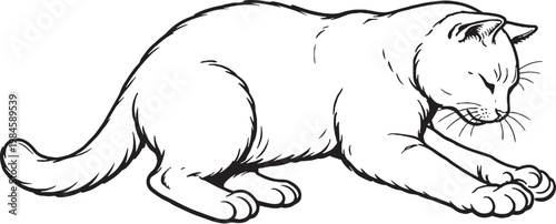 Chartreux cat kneading paws vector isolated feline comfort behavior illustration