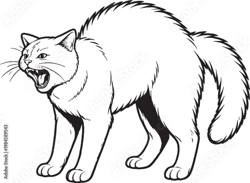 Chartreux cat arching back hiss line art black and white vector isolated defensive cat behavior illustration