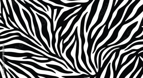 zebra stripes pattern in monochrome black white abstract background