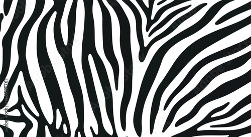zebra stripes close-up: abstract black and white pattern
