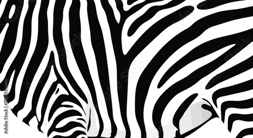 close-up zebra stripes black and white pattern