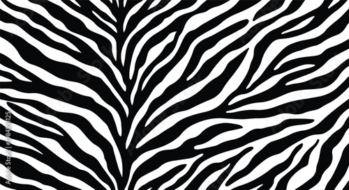 black and white zebra stripe pattern texture background