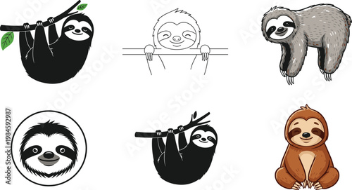 Sloth Animal Collection with Cartoon and Realistic Styles Hanging Sitting and Portrait Designs Tropical Wildlife Vector Illustration Set
