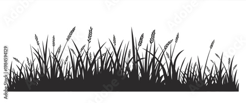 Grass Silhouette Border Vector – Natural Lawn Edge Black Botanical Design
