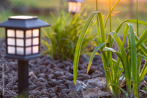 Konstfotografi Eco-friendly solar lamp, perennial mix in flowerbed, modern mulch border, ornamental grasses, sustainable outdoor landscape, LED light, nod to Japanese design